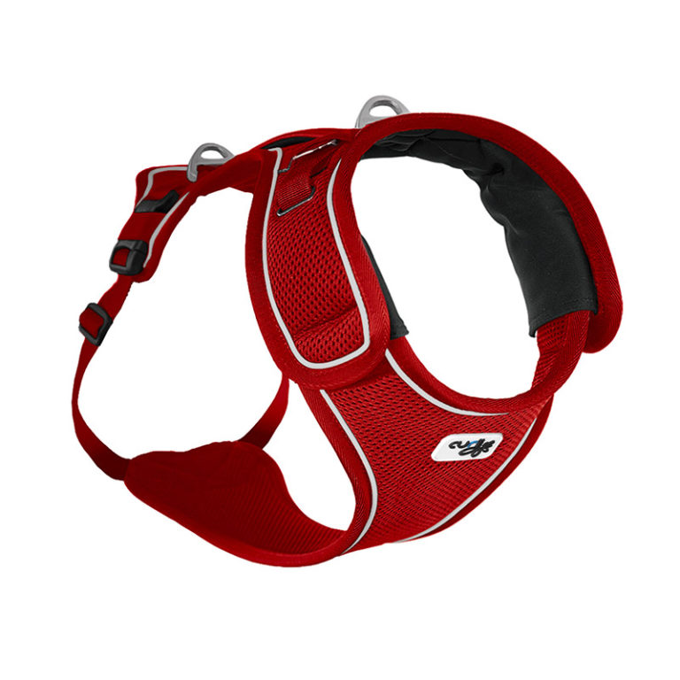 Curli Harnesses – Boutique Pet Supplies