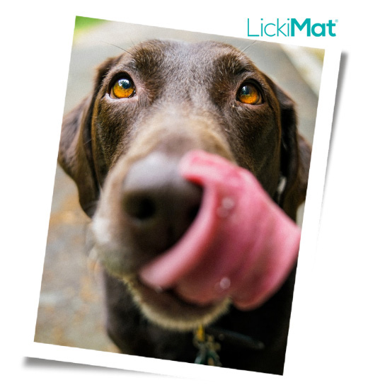 Dog Lick Mat Slow Feeder Pet Food Lickimat Soother Silicone With Suction  Cups UK